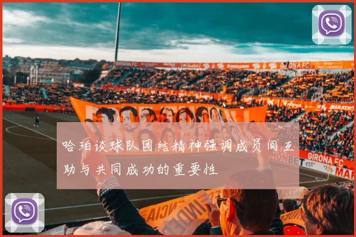 哈珀谈球队团结精神强调成员间互助与共同成功的重要性